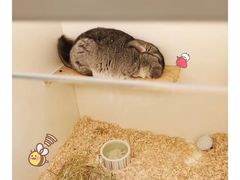 -龙猫仔乐园(惠福东路店)