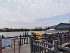 -上海长兴岛郊野公园