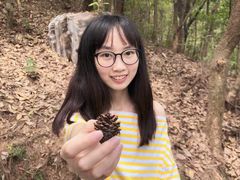 -神光山国家森林公园