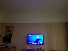 -维也纳智好酒店(深圳罗湖口岸国贸火车站店)