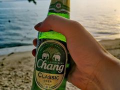 -卷心菜和避孕套餐厅(Pattaya)