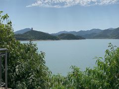 -望湖烤鱼