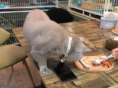 -小时光咖啡馆(北锣鼓巷店)