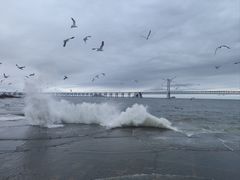 -星海广场