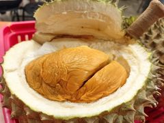 黑刺榴莲-空军山芭榴莲