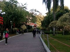 -东风公园