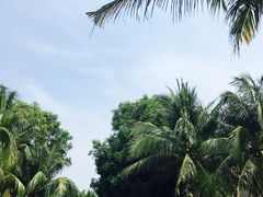 -三亚亚龙湾雅高美爵酒店