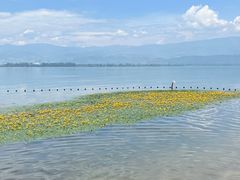 -西昌邛海湿地
