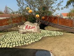 -上海长兴岛郊野公园