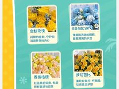 -美罗城