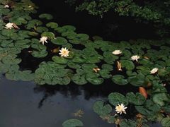 -郭庄景区