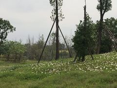 -三圣花乡旅游区