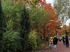 -长春市南湖公园