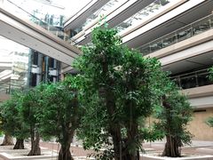 -南京禄口机场雅高铂尔曼大酒店