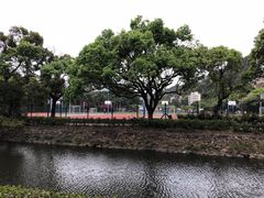 -大埔公路-马料水段香港中文大学(公交站)