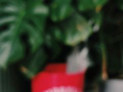 -Catch Bagel(芳草地店)