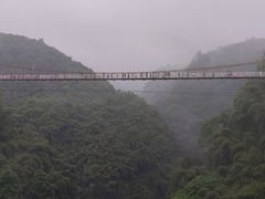 -川西竹海景区