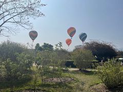 -中国科学院西双版纳热带植物园