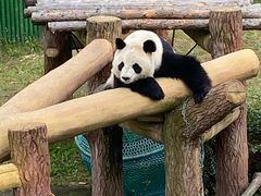 -沈阳森林动物园