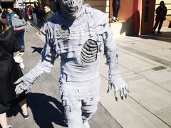 -木乃伊复仇过山车