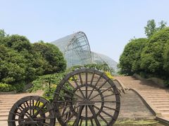 -南山植物园
