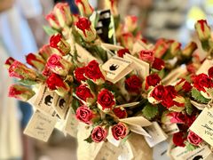 -大象粑粑造纸公园