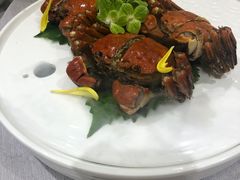 -新光酒家·河豚·海鲜·蟹料理(浦东店)