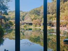 -云溪植物园