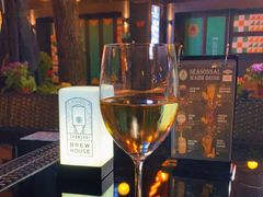 -Shanghai Brew House上海啤酒工坊(老外街店)