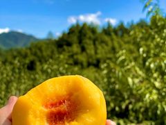 -郴州特产舜华临武鸭(郴州西站店)