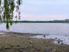 -西山漾湿地公园