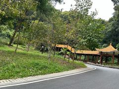 -广州市帽峰山景区