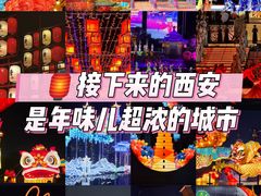 -晓长安·新陕菜(曲江店)