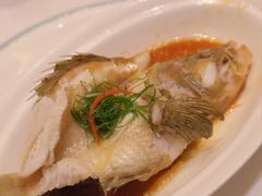 -绿岛国际酒店·海鲜酒楼(八七路店)