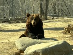 -北京野生动物园