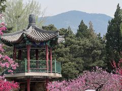 -北京植物园南门售票处