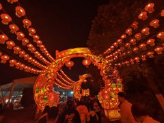 -武汉园博园(武汉自然博物馆)
