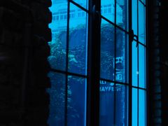 -巴厘龙虾·榜首油焖大虾(洞庭·艺术洋房店)