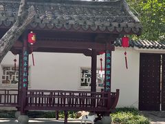 -江心屿景区