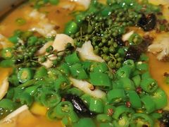 -小大董·烤鸭(五棵松店)