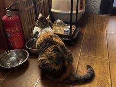 -天地無用GAME BAR