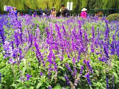 景点-沈阳植物园