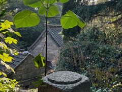 -青岛崂山太清宫