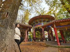 -华雅花园大酒店