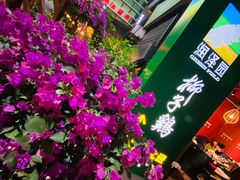 -润泽园椰子鸡(汇一城店)