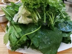 -红满天红焖羊排(大西菜行店)