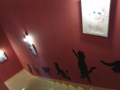 -猫爷宠物生活馆·撸猫馆