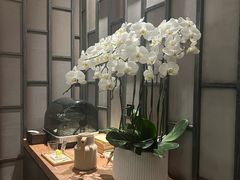 -LANN I 蘭 泰式古法按摩(宝乐汇店)