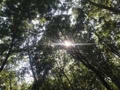 -东升八家郊野公园