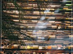 -Oyster Talks 四度蚝法餐厅